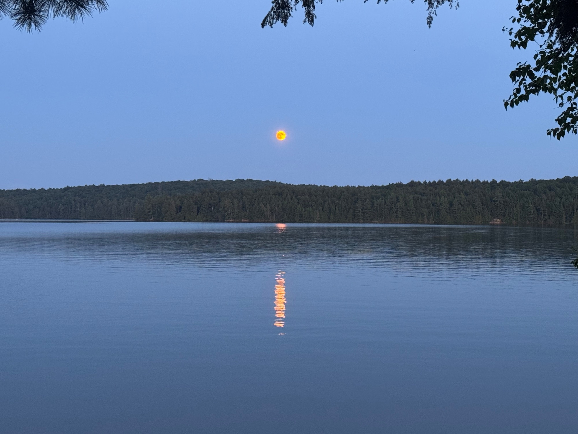 Cottage photo