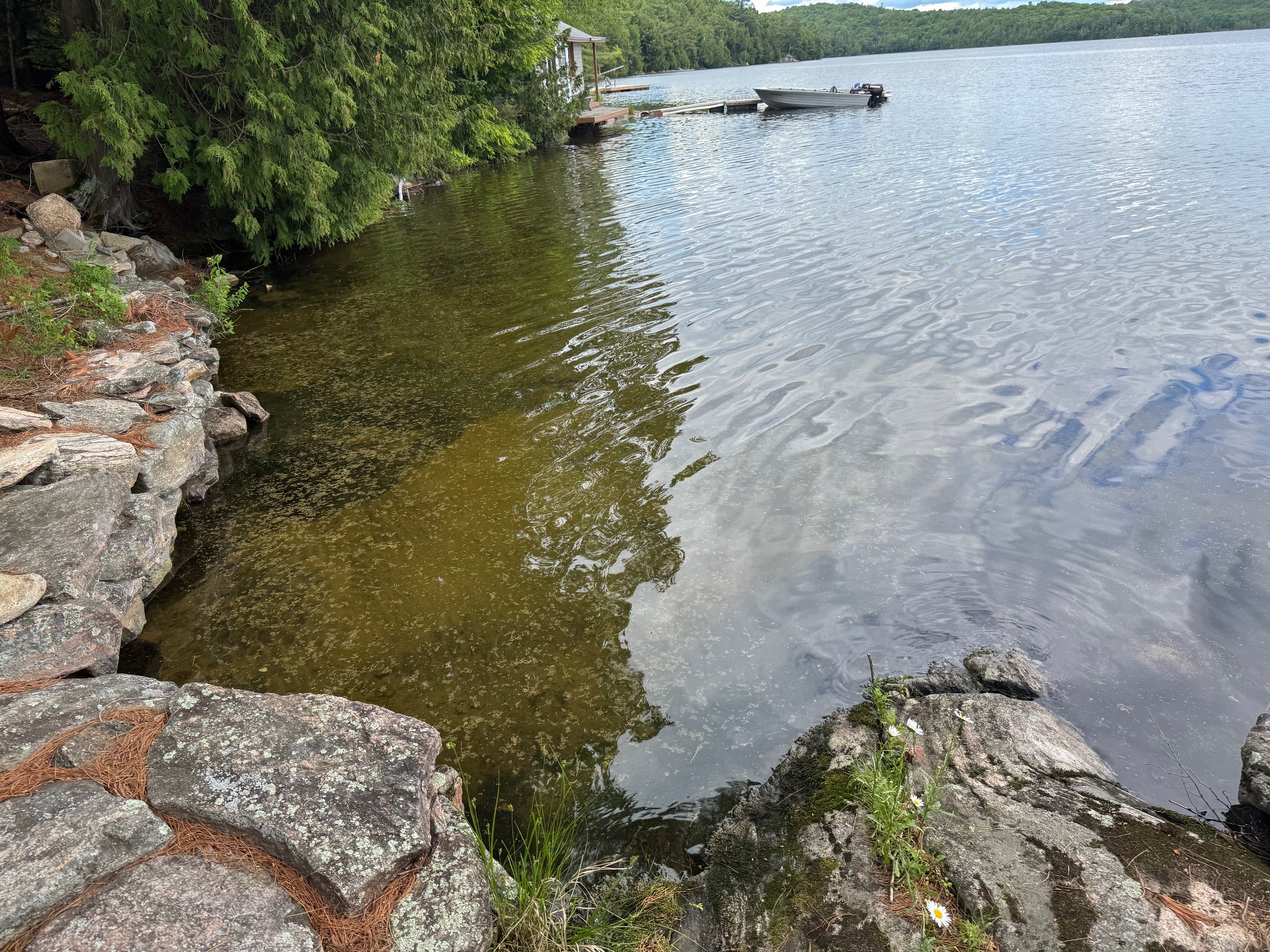 Cottage photo