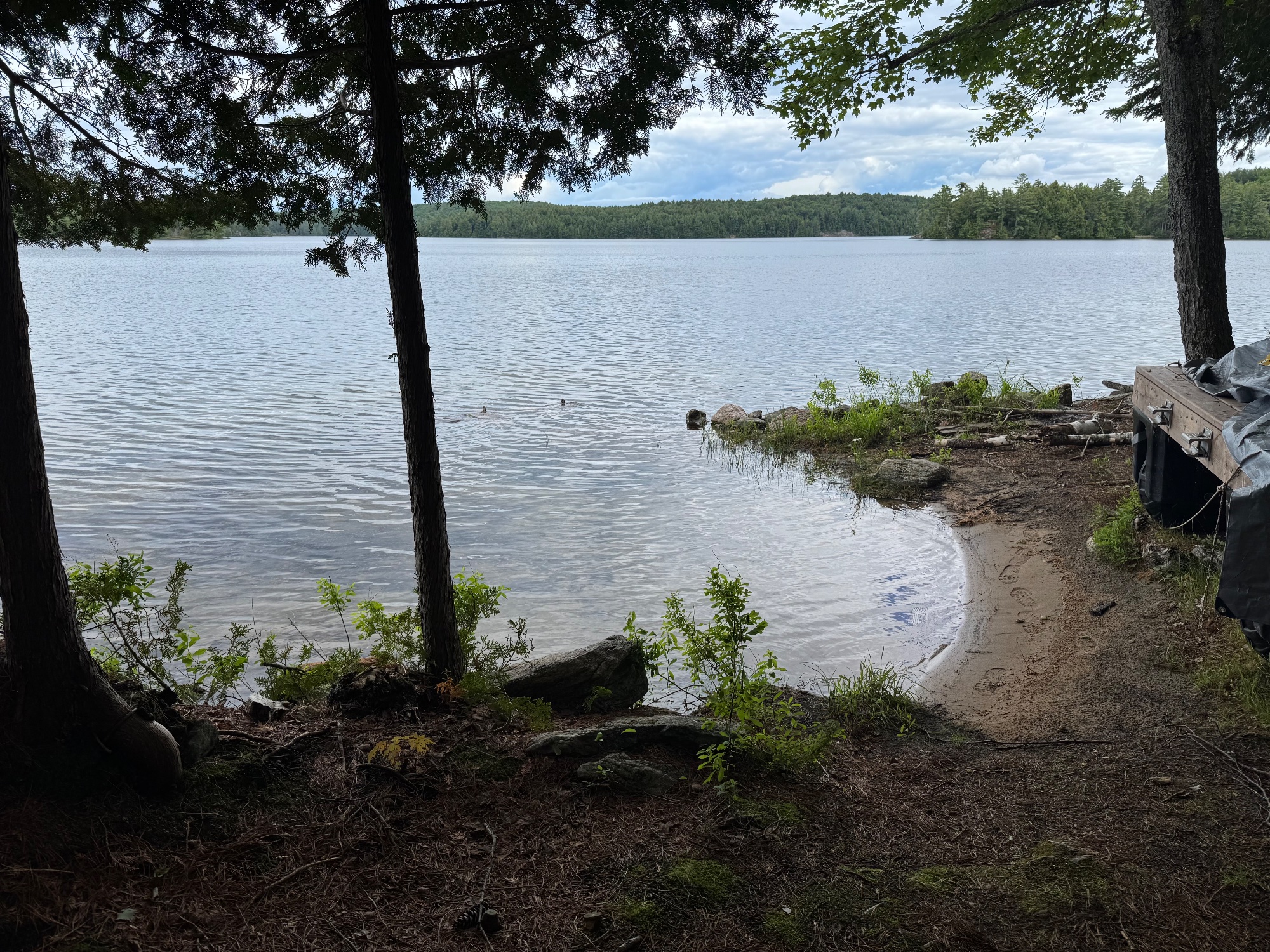 Cottage photo